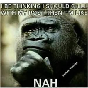 Meet your Posher, Ricky